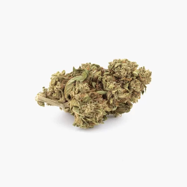 Fleurs de CBD Greenhouse Bubba kush - 5 grammes