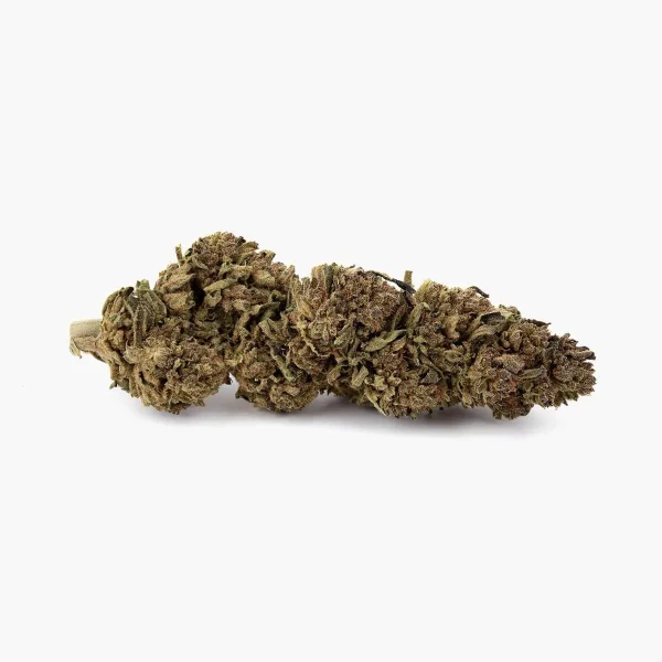 Fleurs de CBD Greenhouse Tsunami - 5 grammes