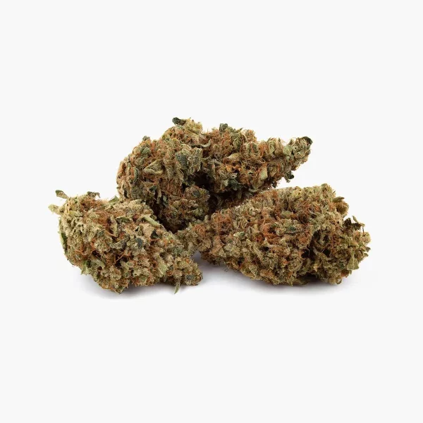 Fleurs de CBD Indoor Orangello - 10 grammes