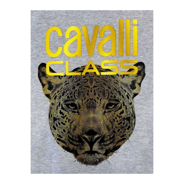Cavalli Class QXT67ZCF062_05014GreyMelange – Image 4