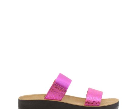 Scholl