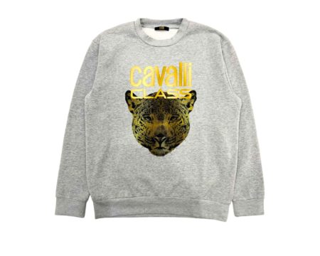 Cavalli Class QXT66BCF062_05014GreyMelange