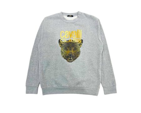 Cavalli Class QXT67ZCF062_05014GreyMelange